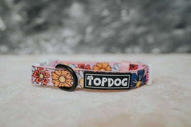 Dog Collar - PRETTY IN PINK - TopDog Harnesses